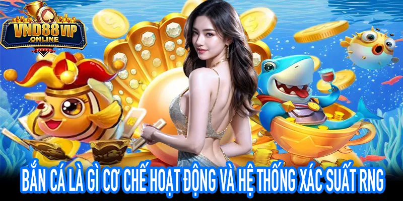 Bắn Cá Là Gì Minh Họa Cơ Chế Hệ Thống Và Xác Suất RNG
