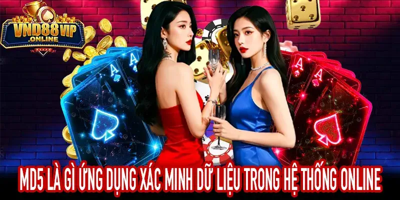 MD5 Là Gì dùng để xác minh dữ liệu và bảo mật hệ thống