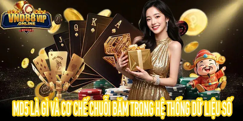 MD5 Là Gì cơ chế chuỗi băm giúp xác minh dữ liệu số