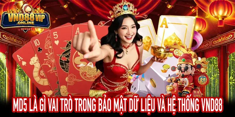 MD5 Là Gì hỗ trợ bảo mật dữ liệu trong nền tảng số hiện đại